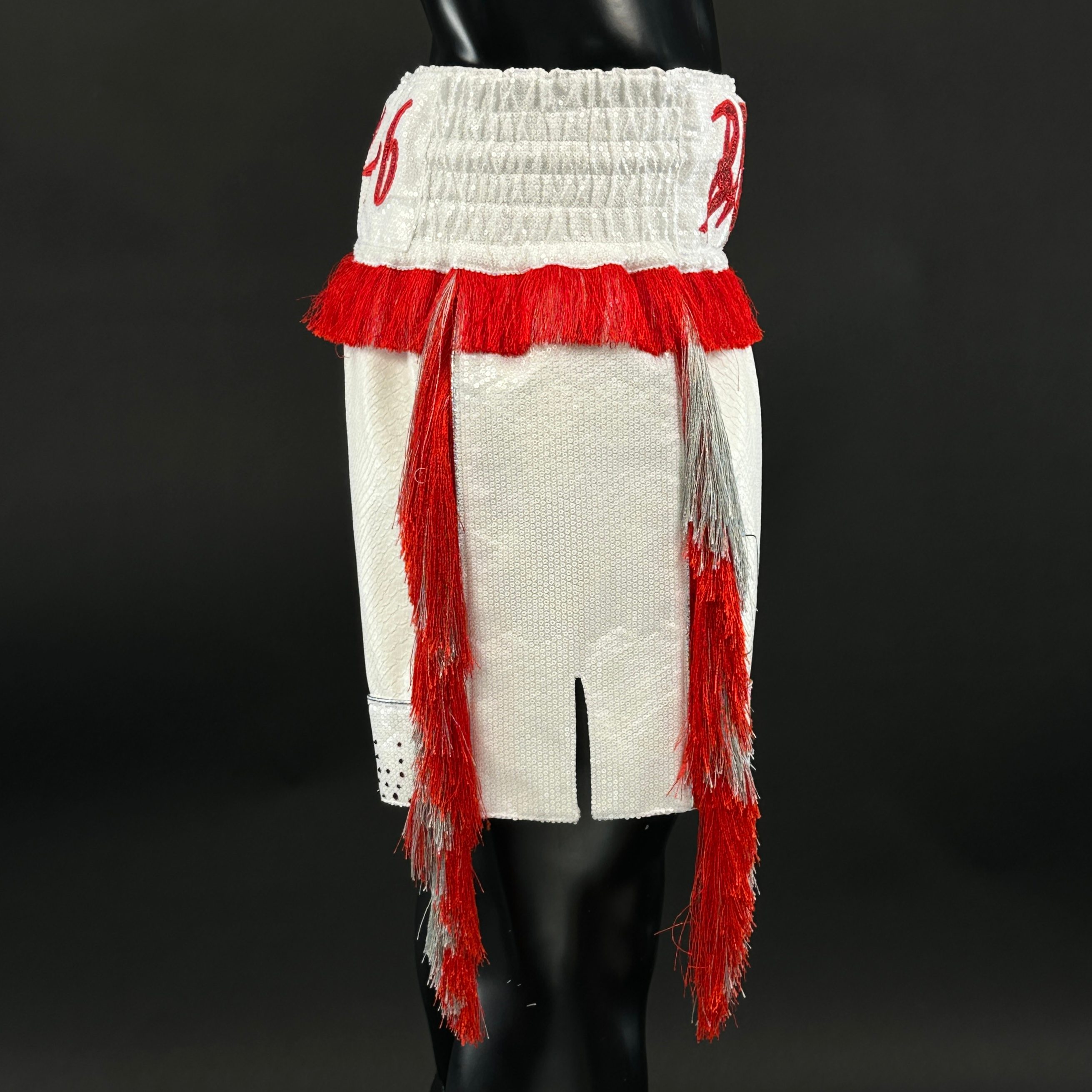 Panel Long Tassels BX Dylan 186637 Custom Boxing Shorts & Trunks